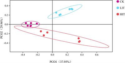 Short-Term Thinning Influences the Rhizosphere Fungal Community Assembly of Pinus massoniana by Altering the Understory Vegetation Diversity